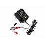 Green Cell Charger for accumulators 2V / 6V / 12V (0.6A)