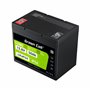 Green Cell CUBE LiFePO4 50Ah 12.8V 640Wh Lithium Iron Phosphate Battery for Camper, Golf Cart,Wind Power Plant